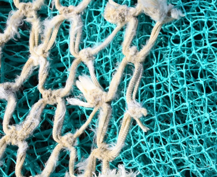 Beitragsbild-Blog-02-01-2023